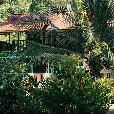 Bed and Breakfast Casa De Mono Bocas Big Creek Exteriér fotografie