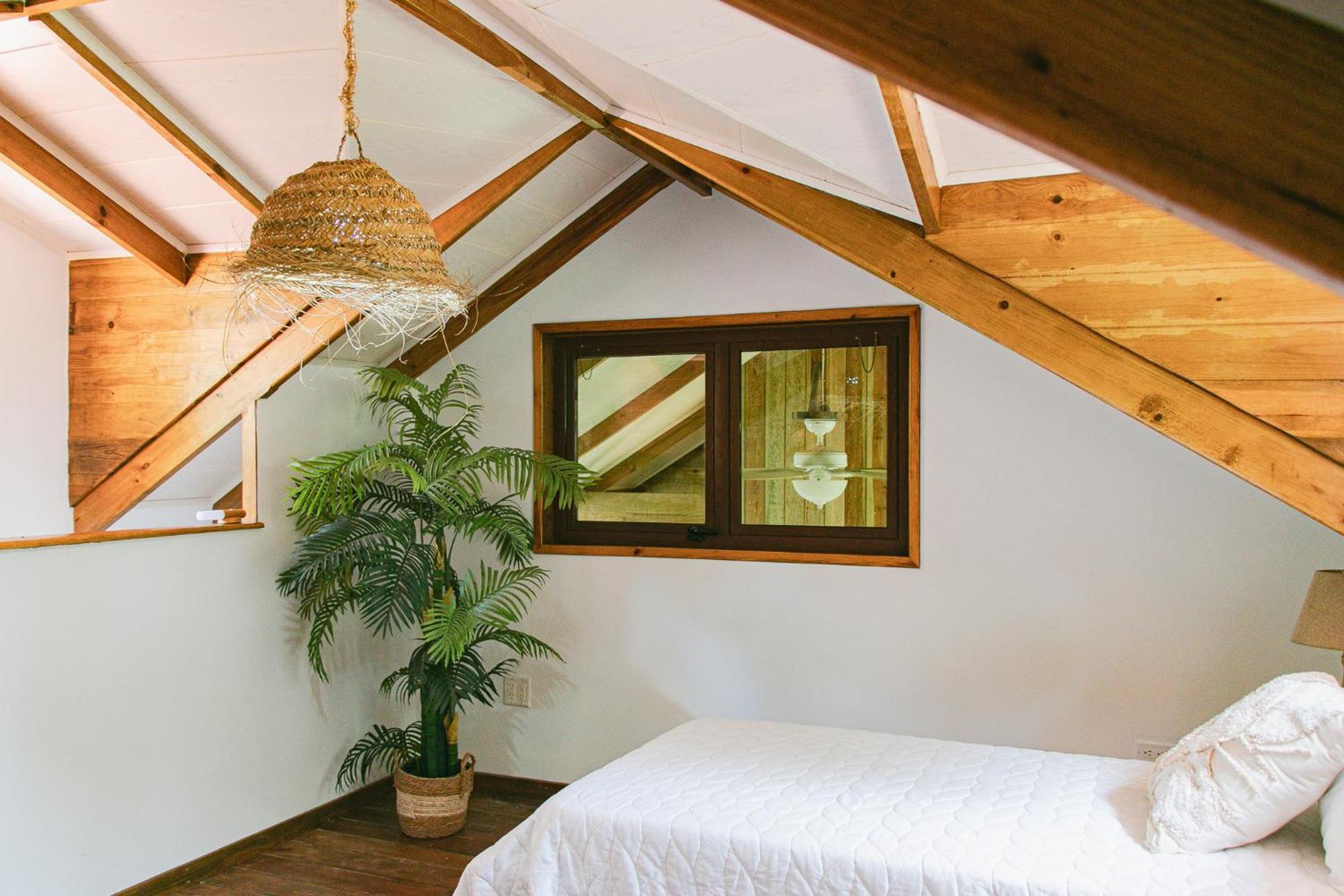 Bed and Breakfast Casa De Mono Bocas Big Creek Pokoj fotografie