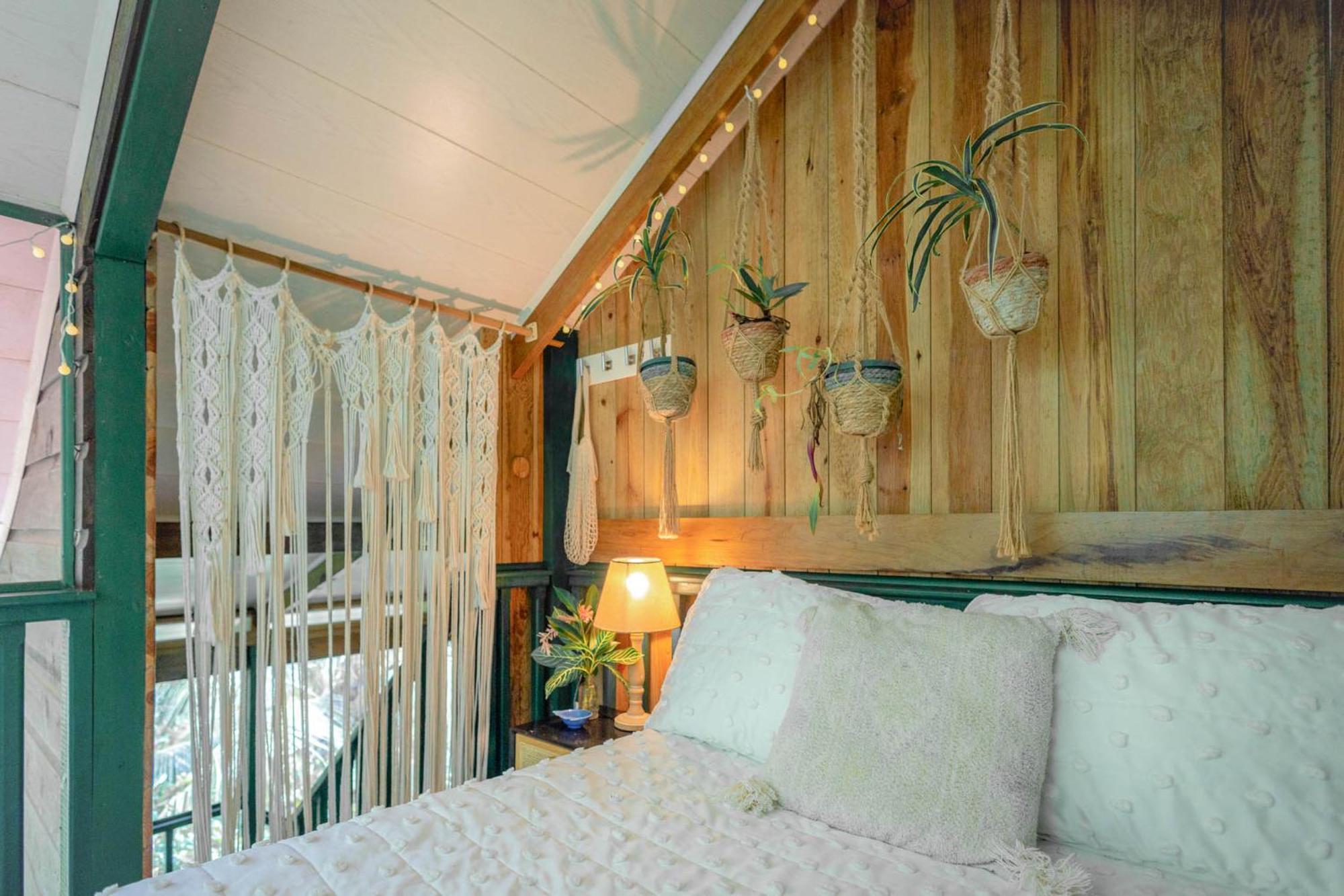 Bed and Breakfast Casa De Mono Bocas Big Creek Exteriér fotografie