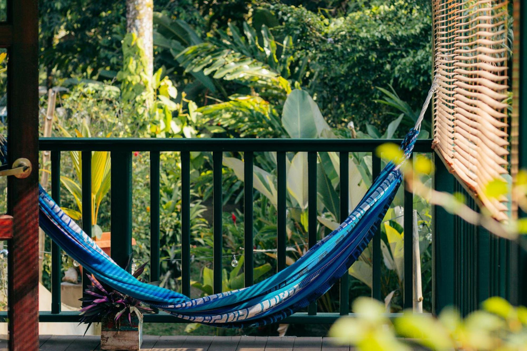 Bed and Breakfast Casa De Mono Bocas Big Creek Exteriér fotografie