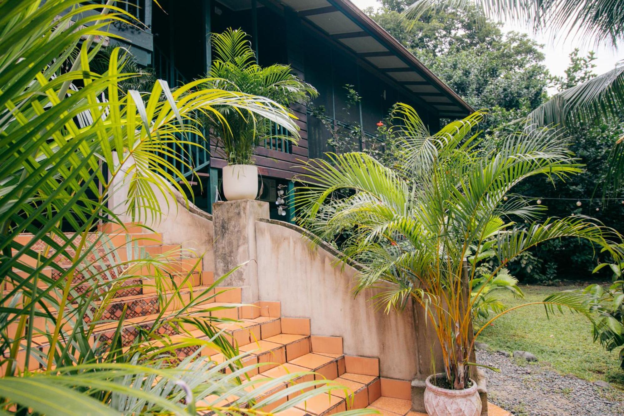Bed and Breakfast Casa De Mono Bocas Big Creek Exteriér fotografie