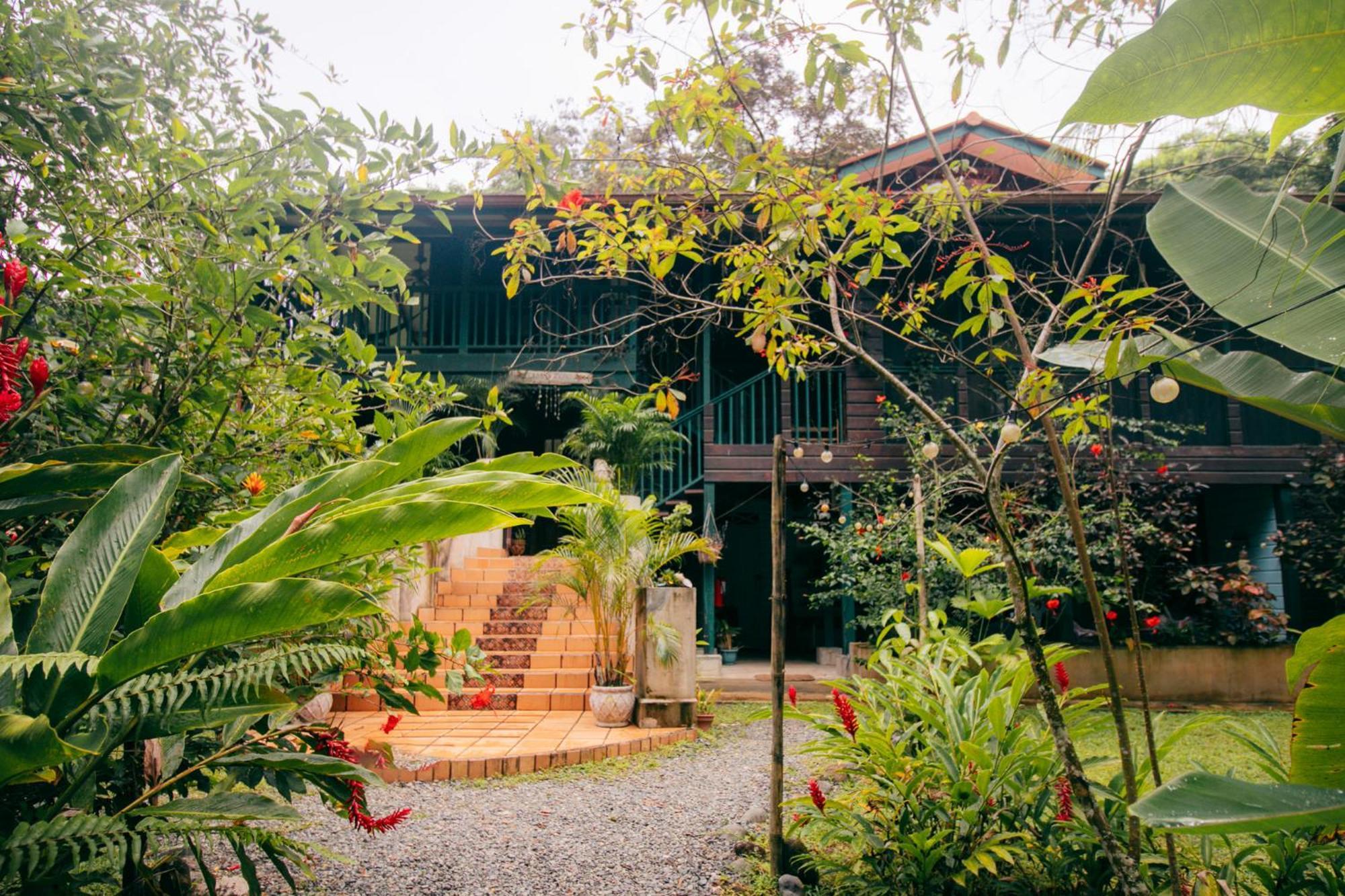 Bed and Breakfast Casa De Mono Bocas Big Creek Exteriér fotografie