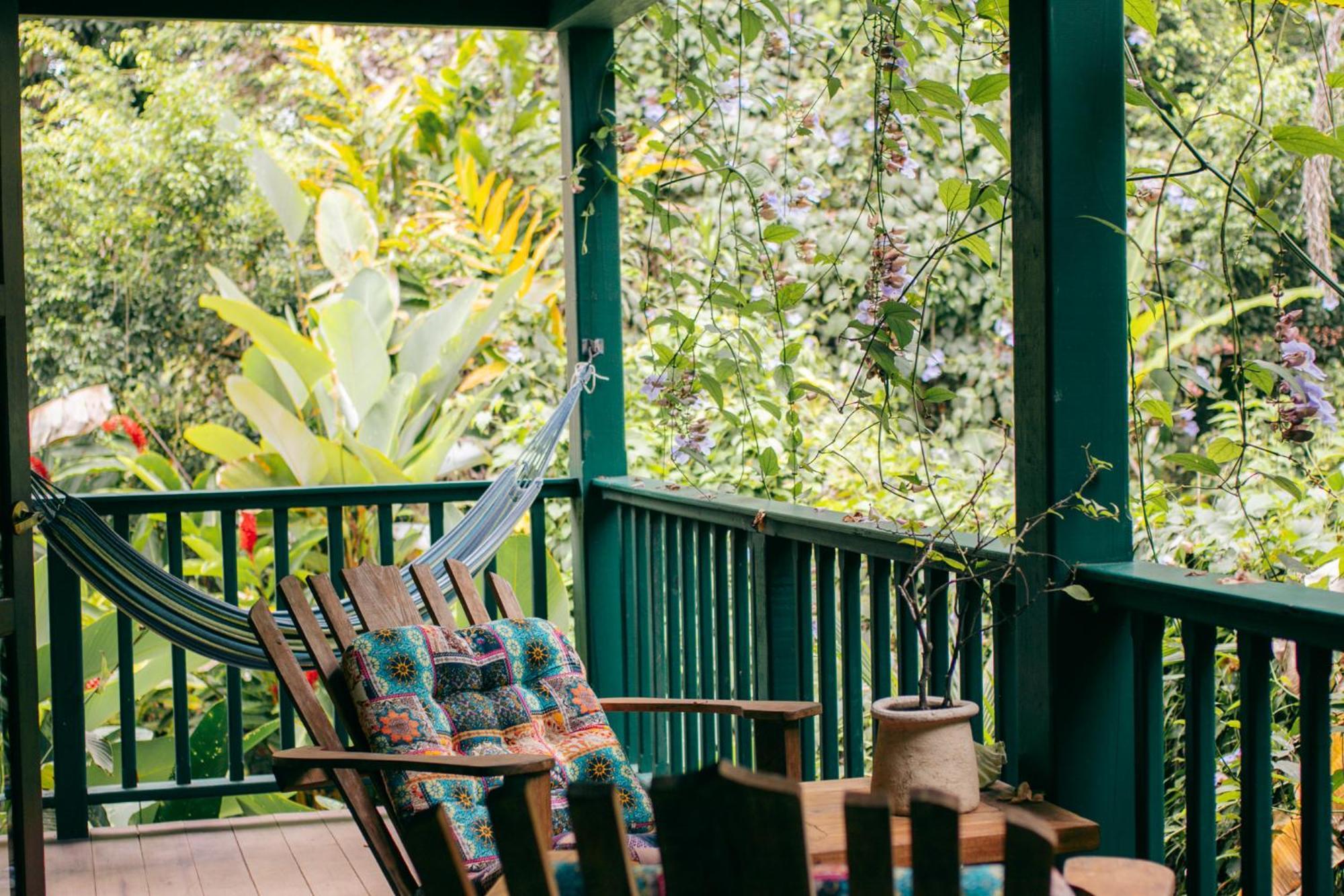 Bed and Breakfast Casa De Mono Bocas Big Creek Exteriér fotografie